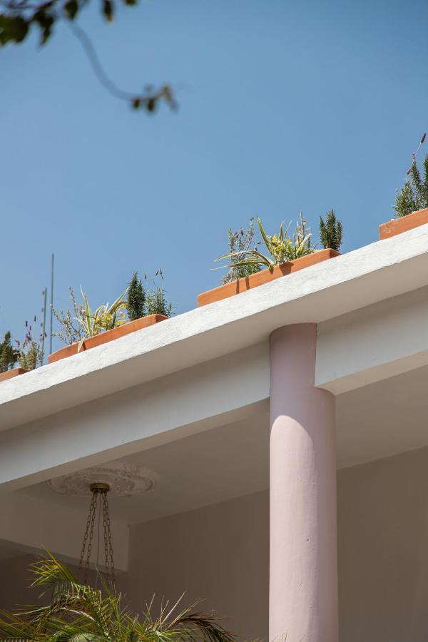 Holt Hotel De Mi Independencia King Room Oaxaca Εξωτερικό φωτογραφία